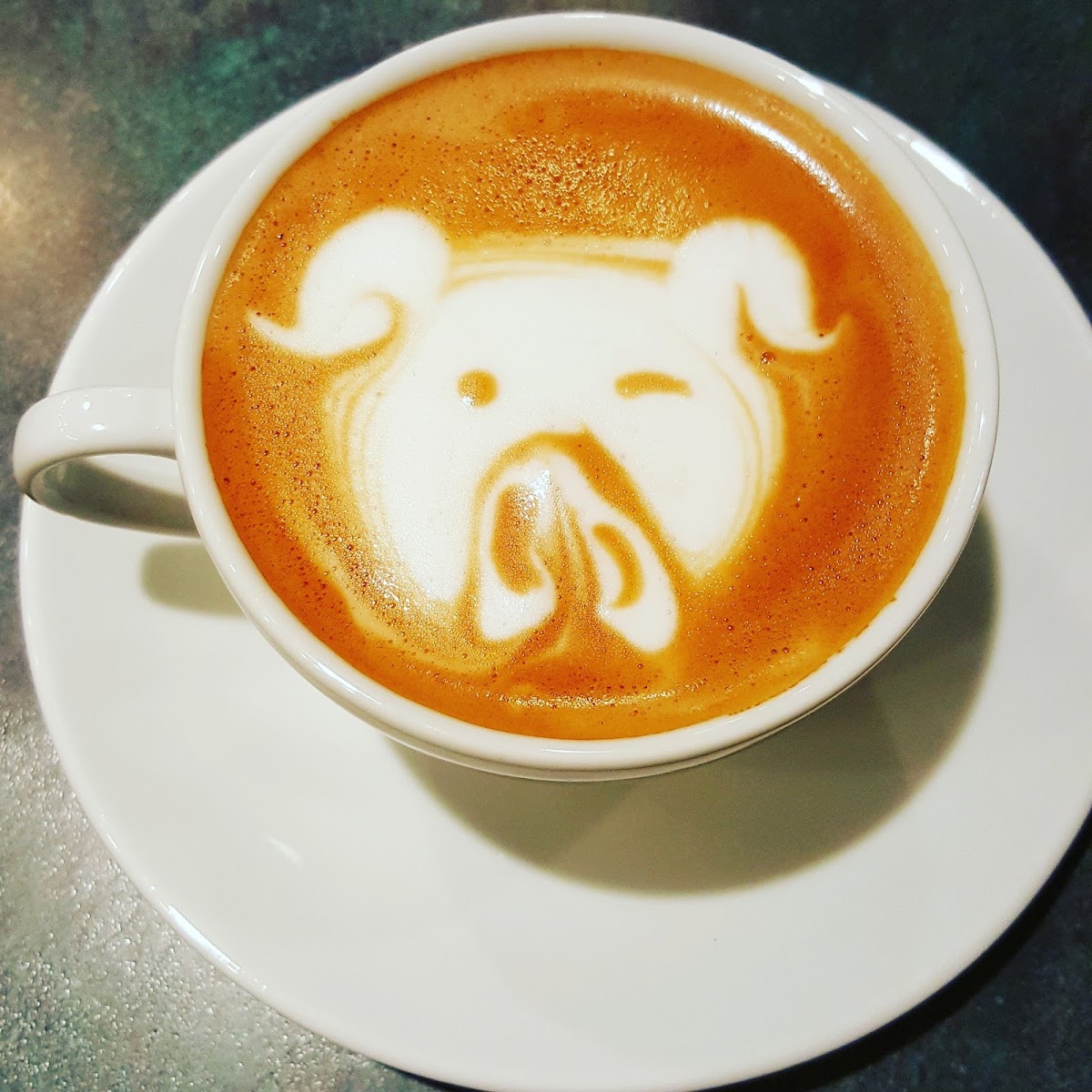 Gloria Jean's Coffees Photo 7