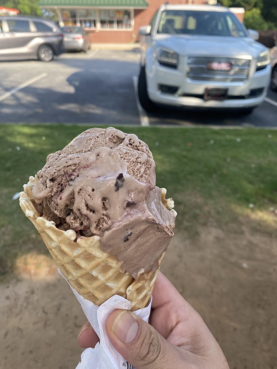 Bruster's Real Ice Cream Photo 4