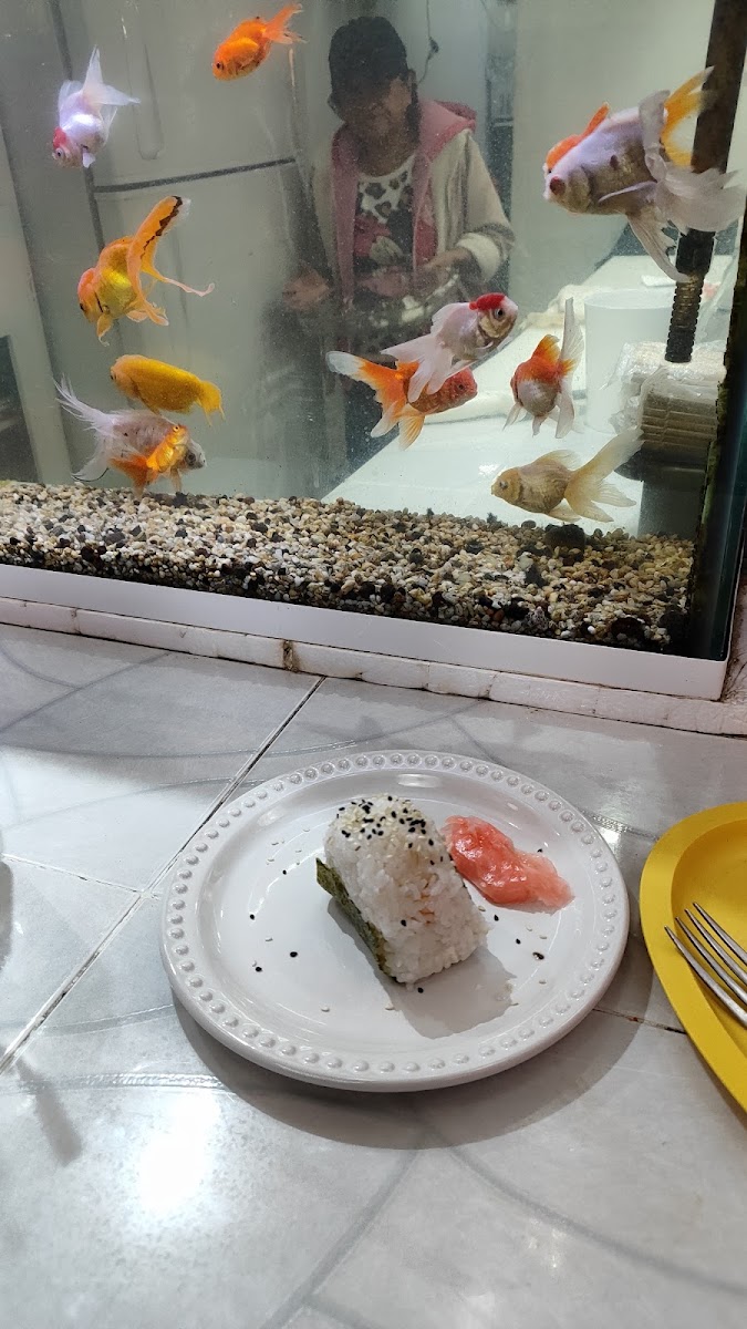 Sushi estación nihonryori Photo 9