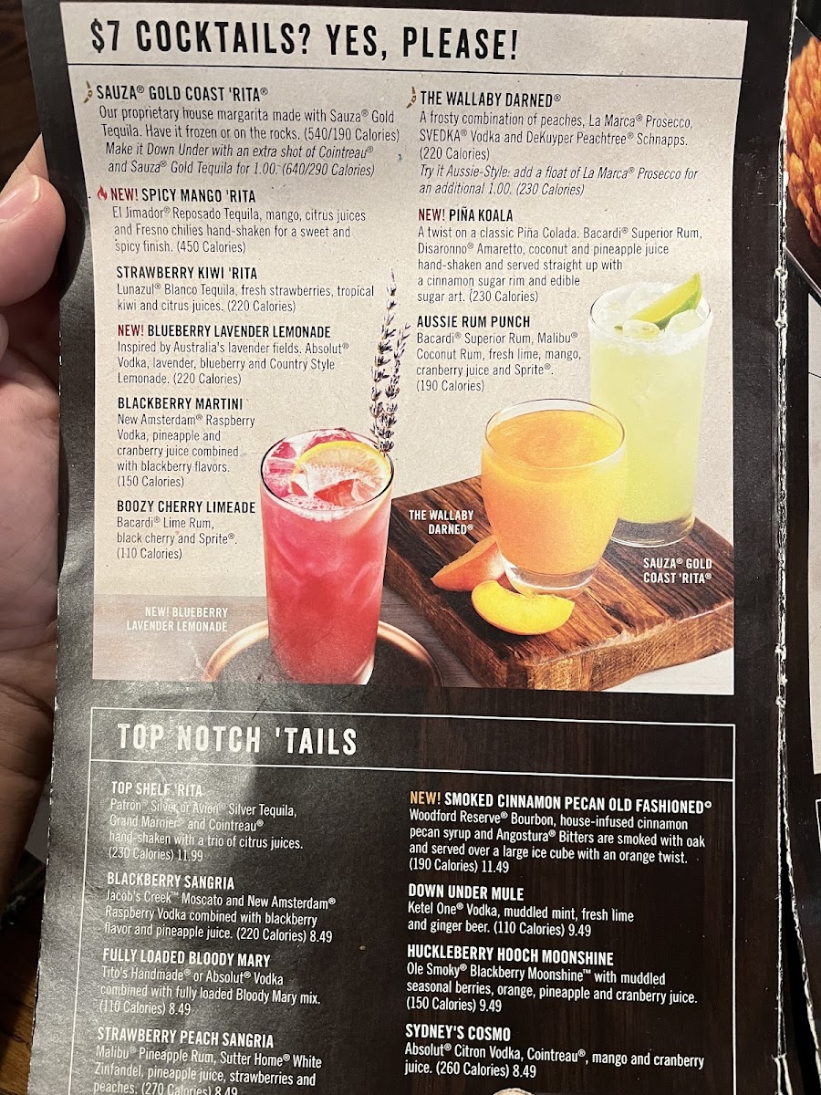 Outback Steakhouse Photo Menu 3