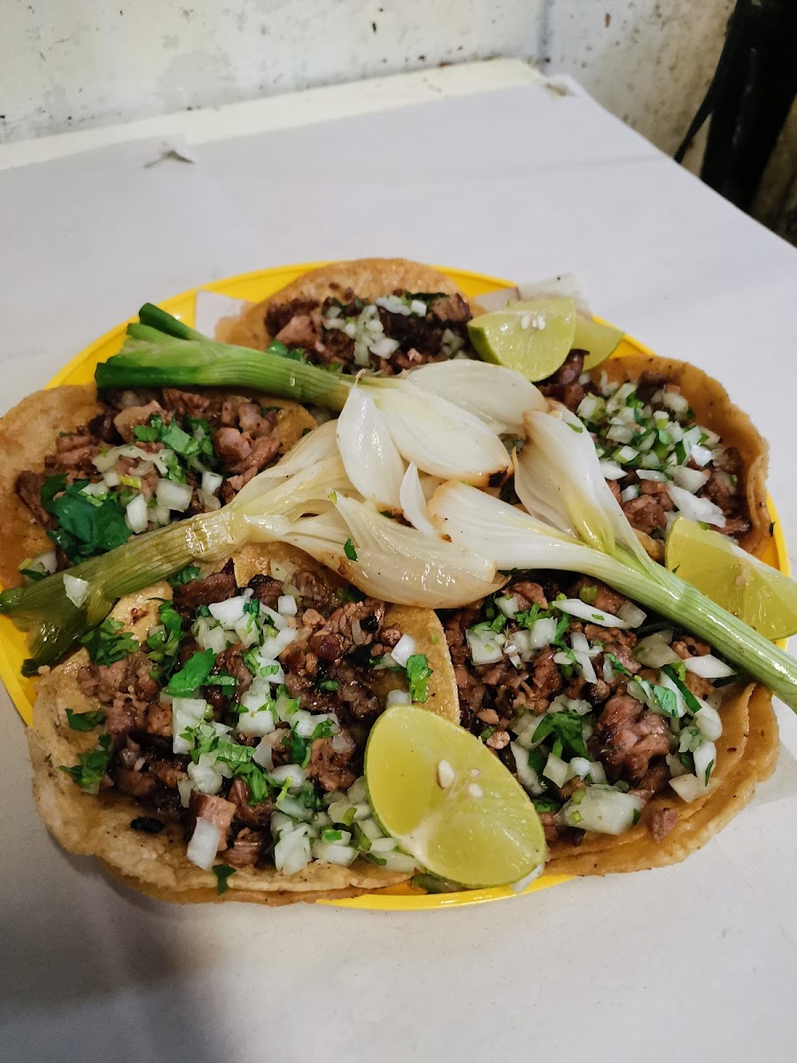 tacos don pancho Photo 3