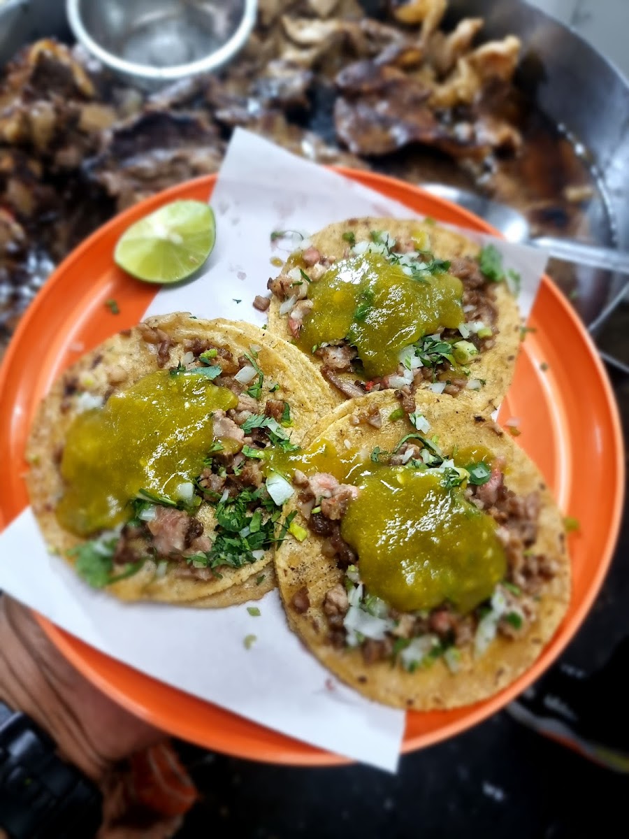 tacos don pancho Photo 4