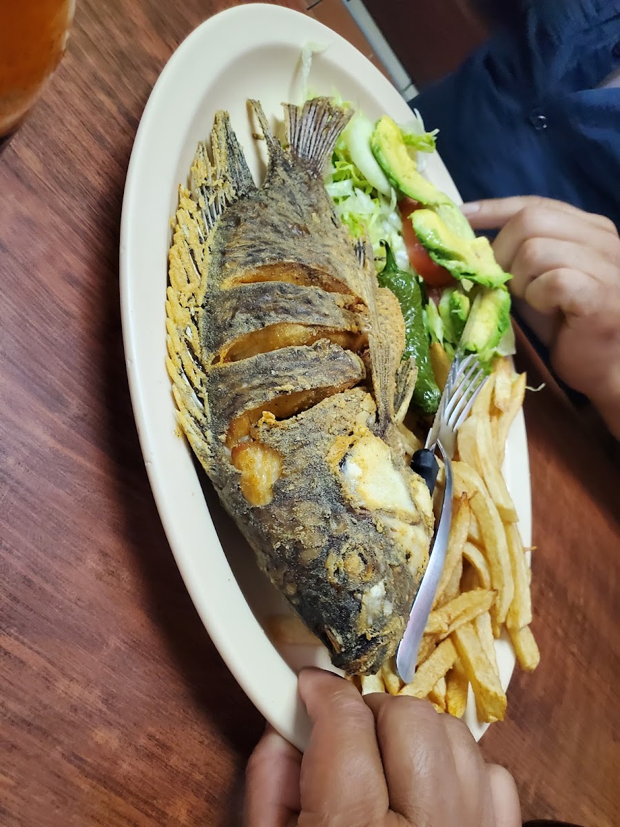 Taqueria el Paisa Photo 8