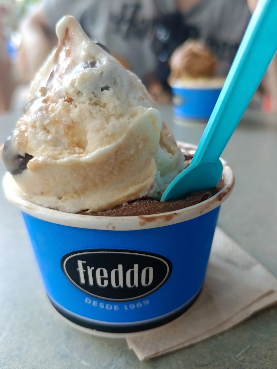 Freddo Photo 10