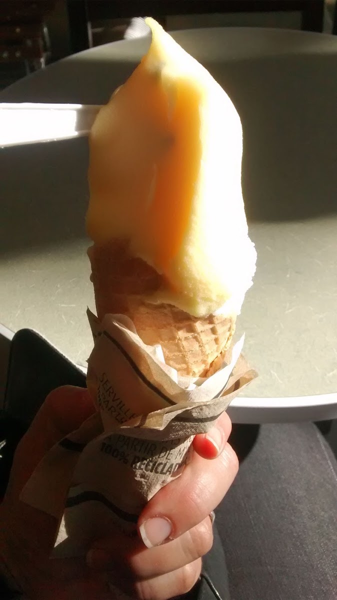 Freddo Photo 7