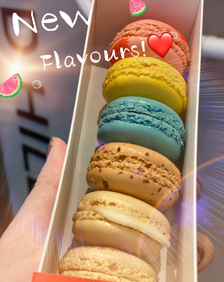 Chatime Bubble Tea Photo 8