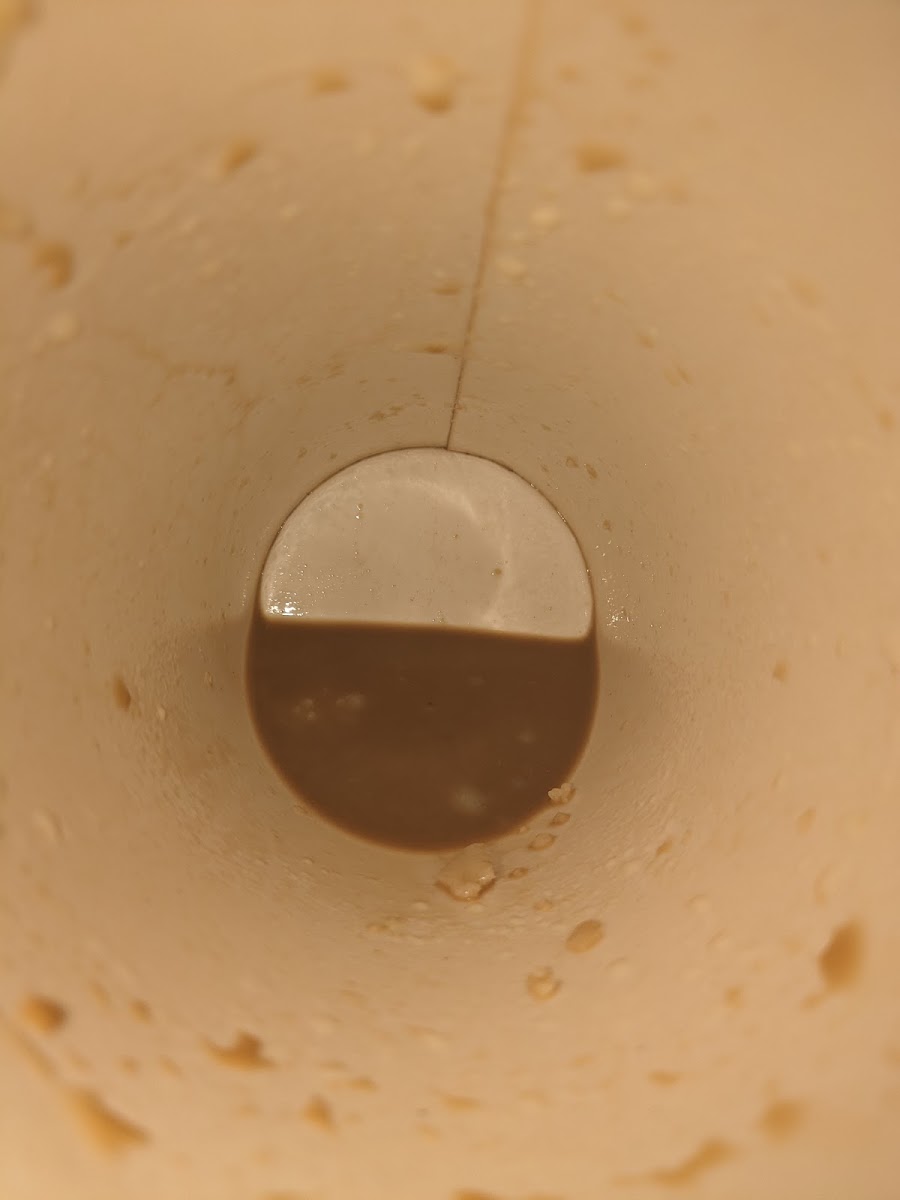 Tim Hortons Photo 6