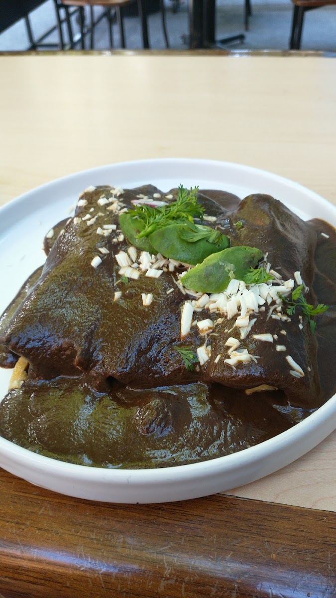 Mixtli Photo 10