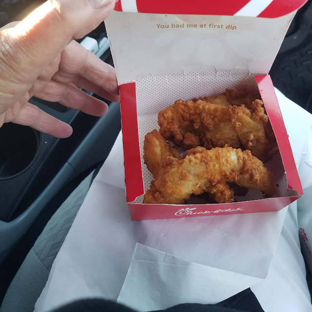Chicken Fingers