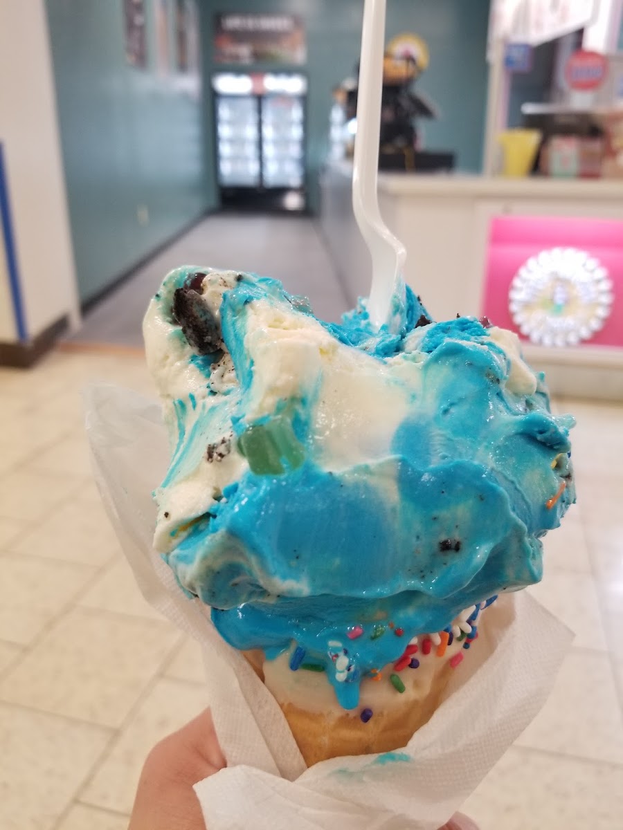 Marble Slab Creamery Photo 8