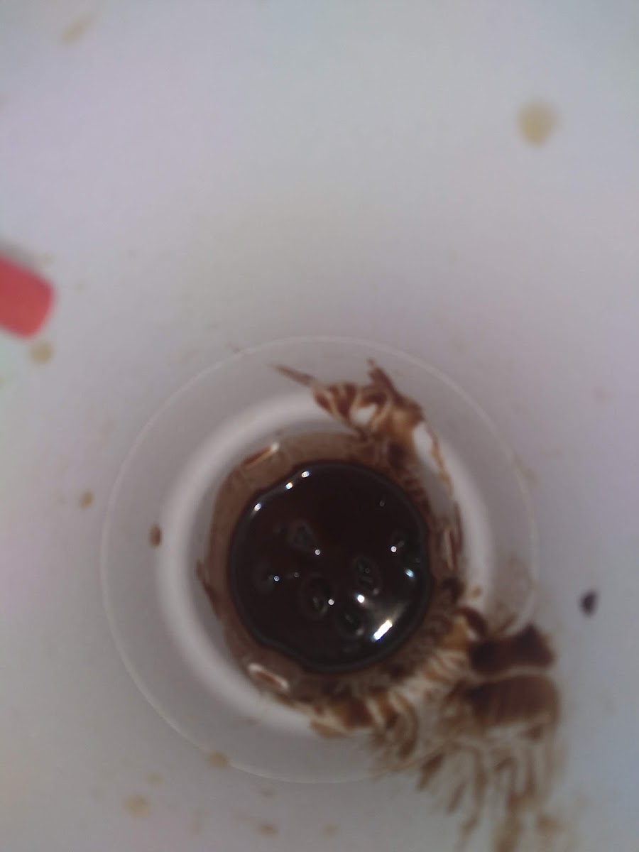 Sonic Drive-In Photo 6