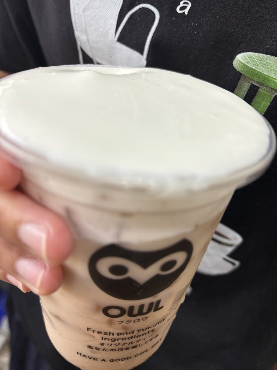 OWL CHA (ซอยเสือใหญ่) หลังมอจันทรเกษม Photo 5