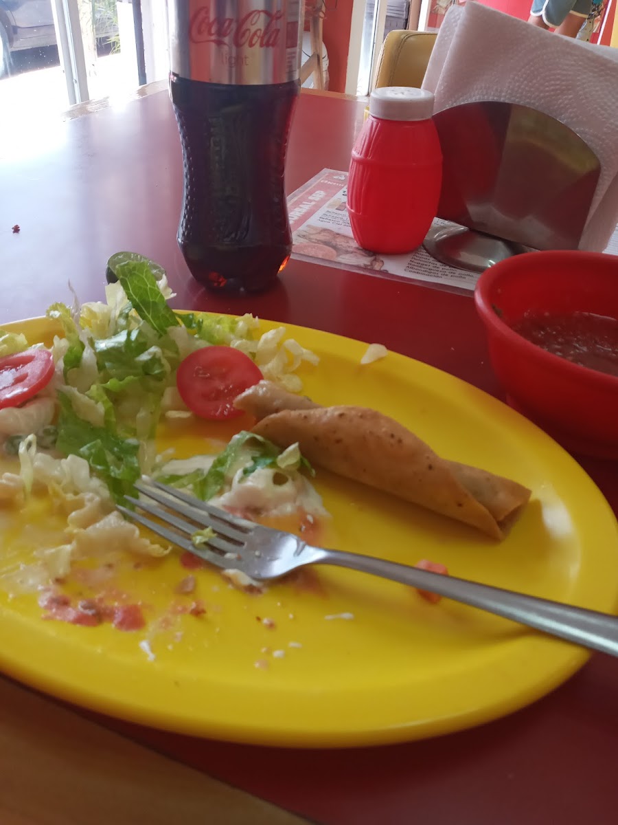 Pollo feliz Photo 5