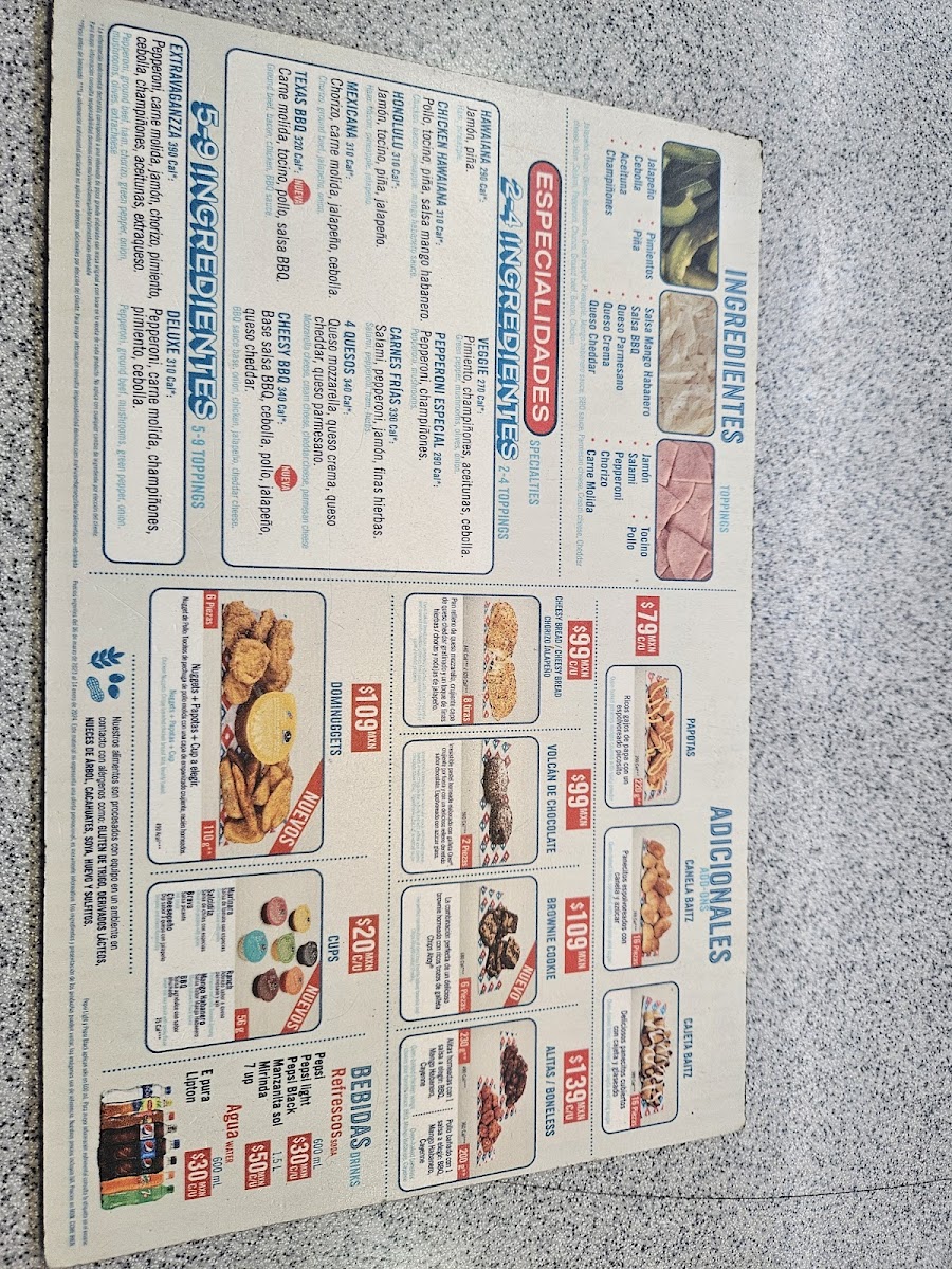 Domino's Pizza Photo Menu 2