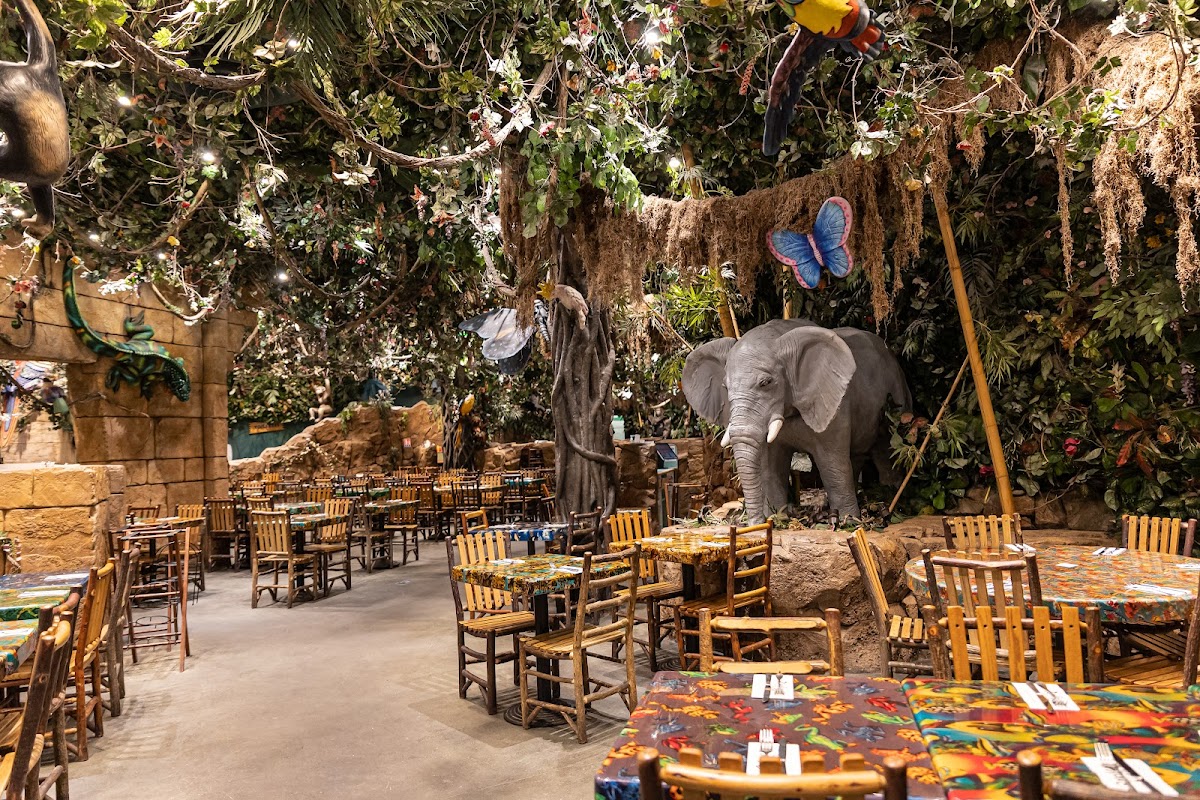 Rainforest Cafe