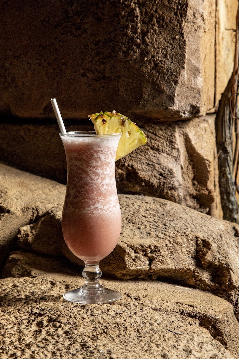 Rainforest Cafe Photo 10