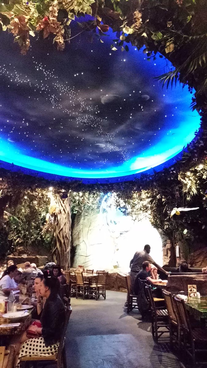 Rainforest Cafe Photo 2