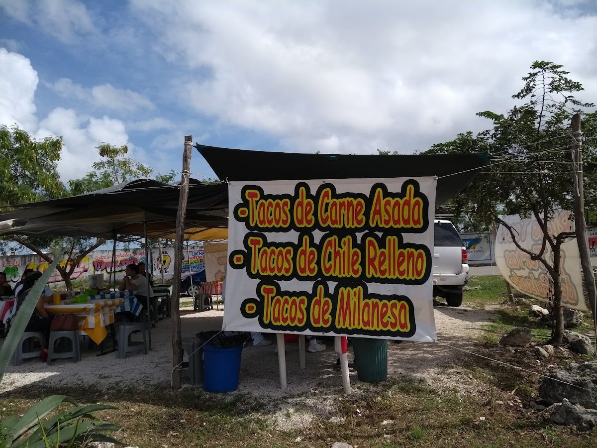 Tacos De Guisado