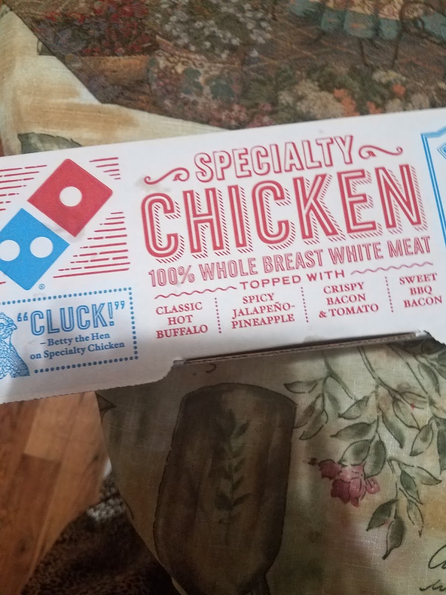 Domino's Pizza Photo Menu 3