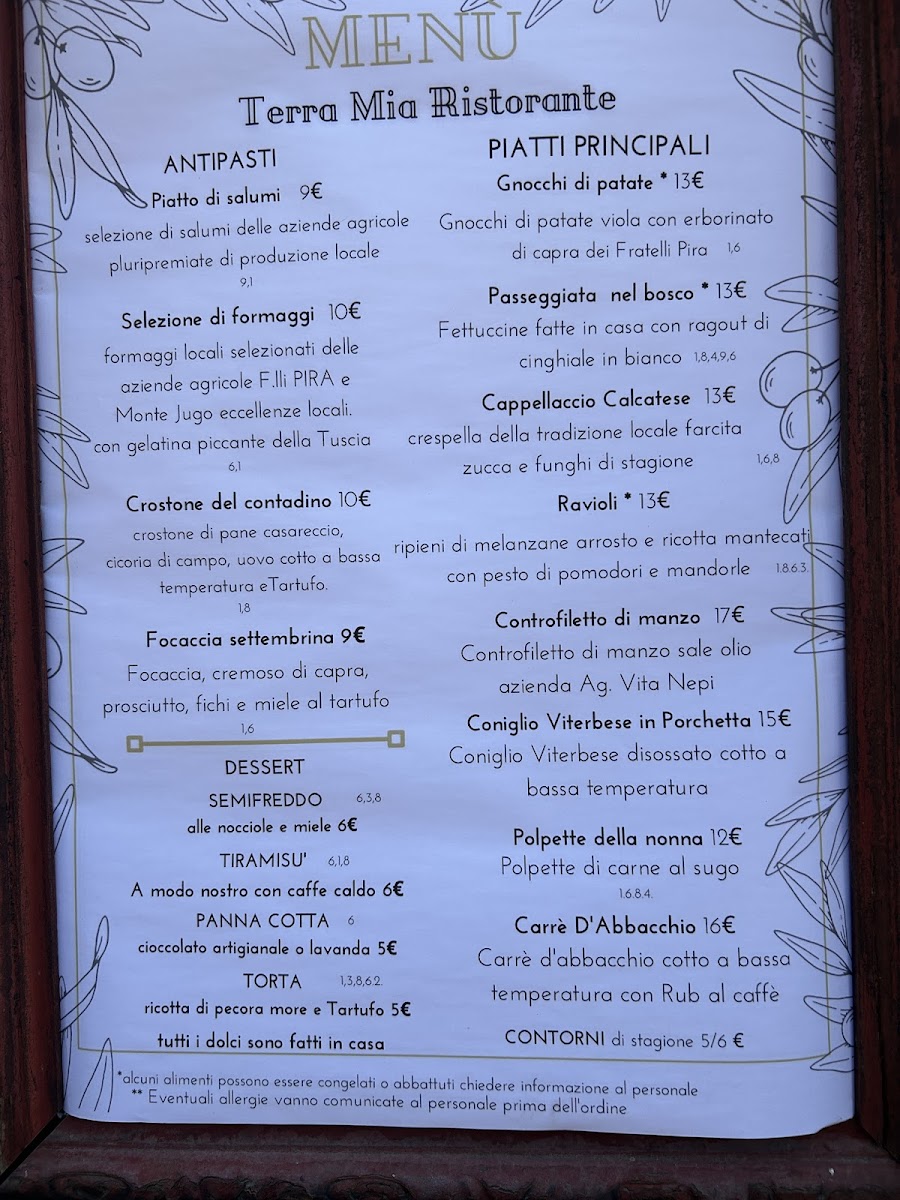 Terra mia Photo Menu 8