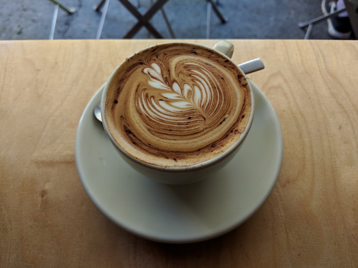 Paper Cup. Photo 9