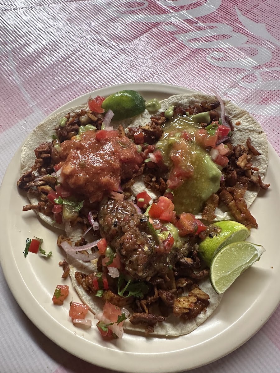 Taquería el pastorcito Photo 8