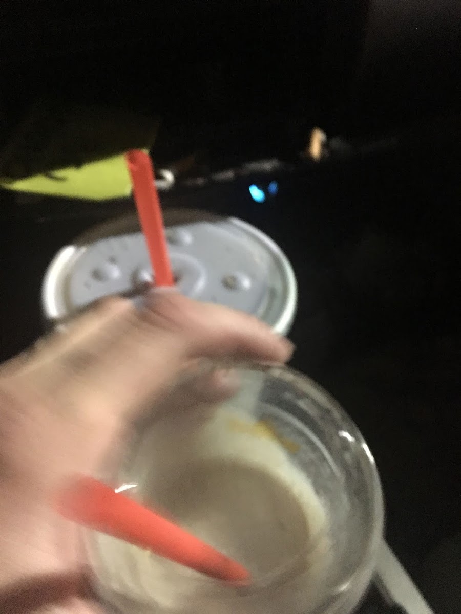Burger King Photo 6