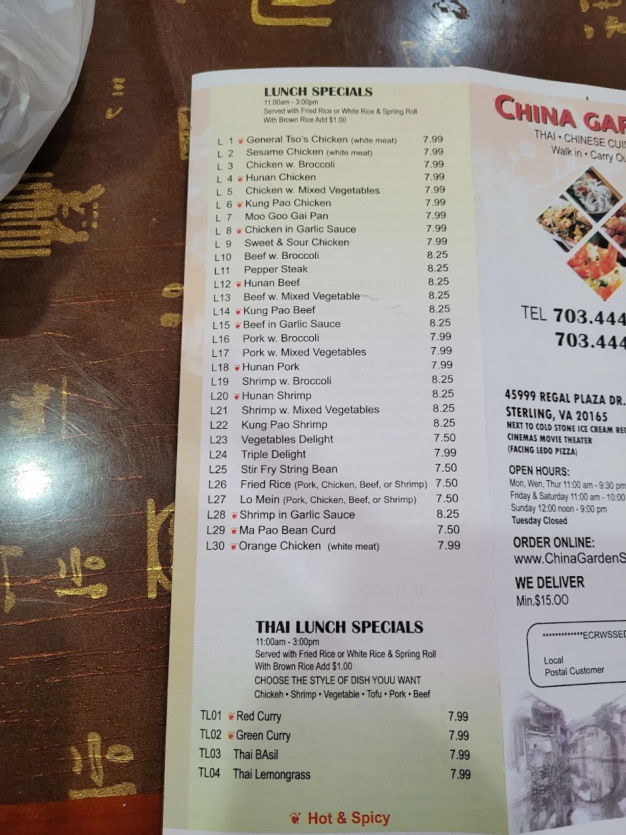 China Garden Photo 4