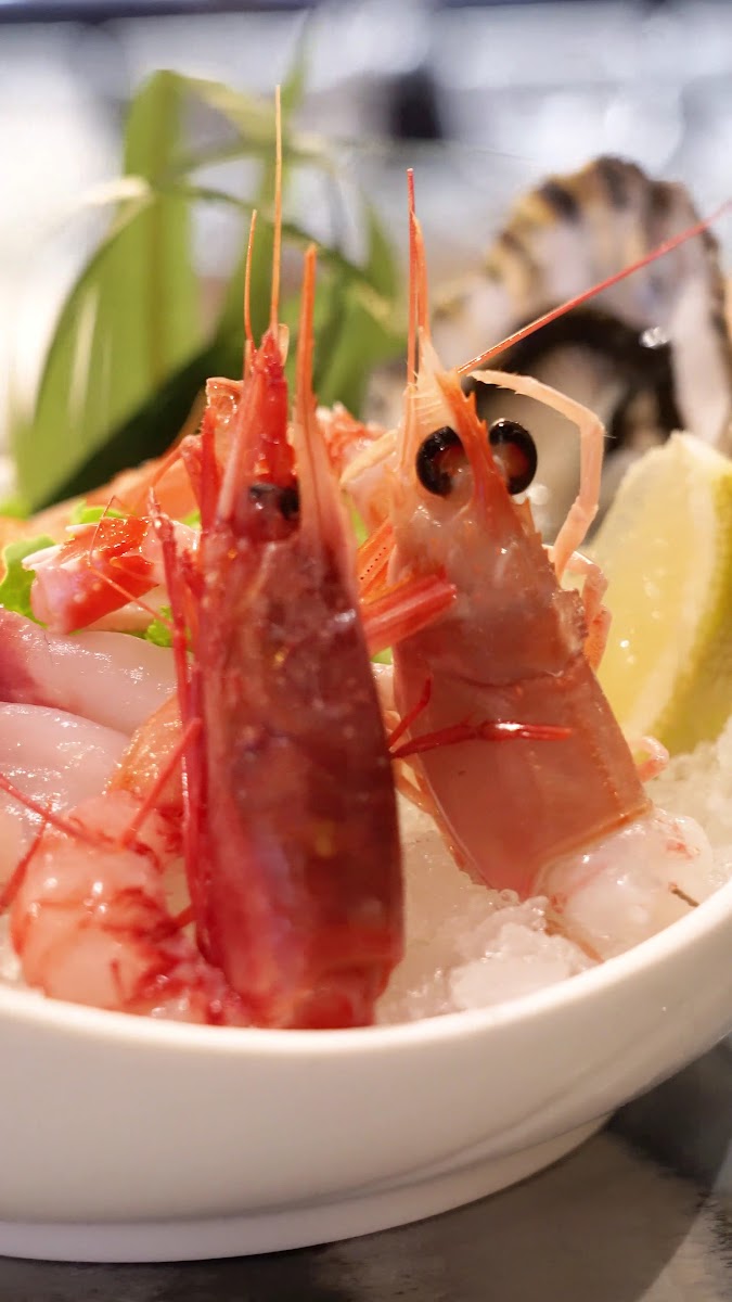 Oya Sushi Fusion Experience Udine Photo 8