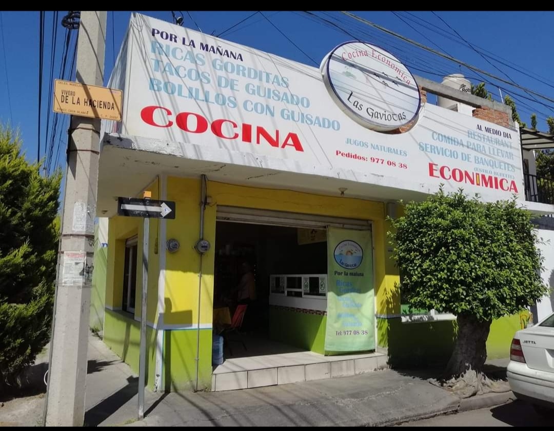 Las Gaviotas Photo 5