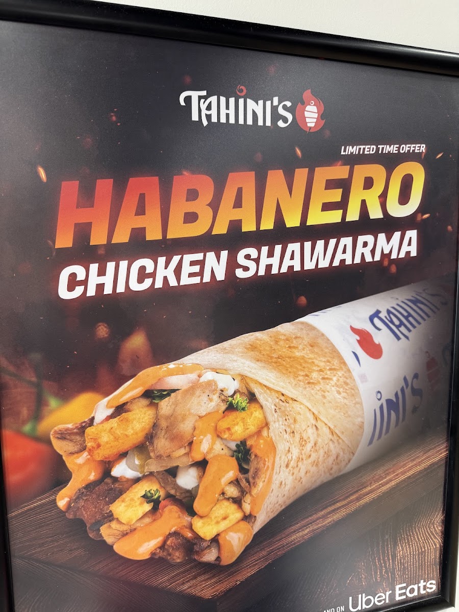 Tahini's Photo 8