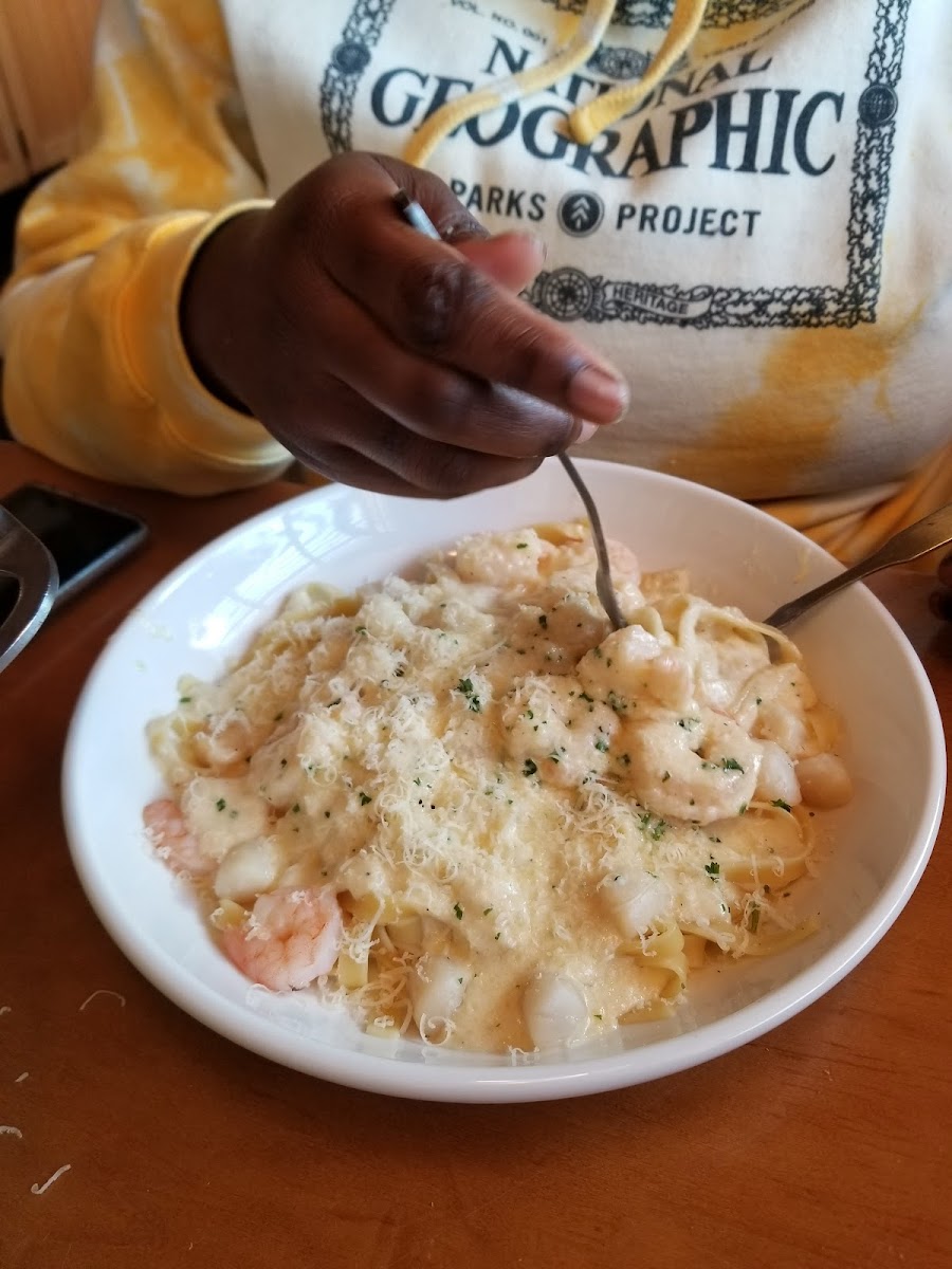 Olive Garden Italian Restaurant Photo 8