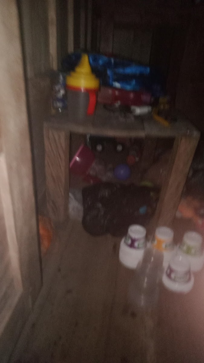 RUMAH MAKAN NIKMAT MINANG Photo 4