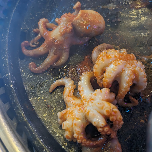 Octopus