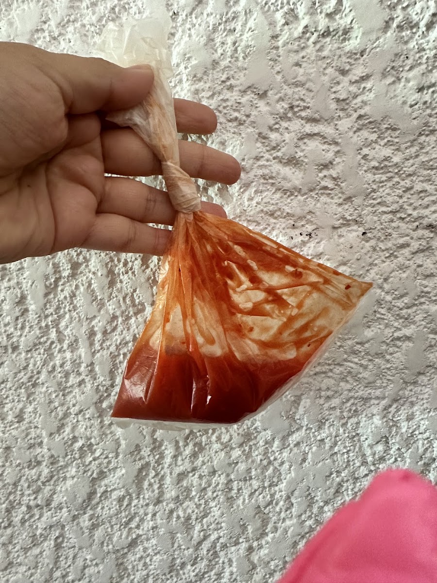 “Sí Señor” Tacos De Canasta Sangria Photo 6