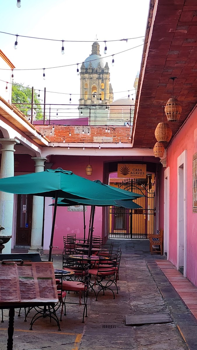 Cafe Los Cuiles Photo 3
