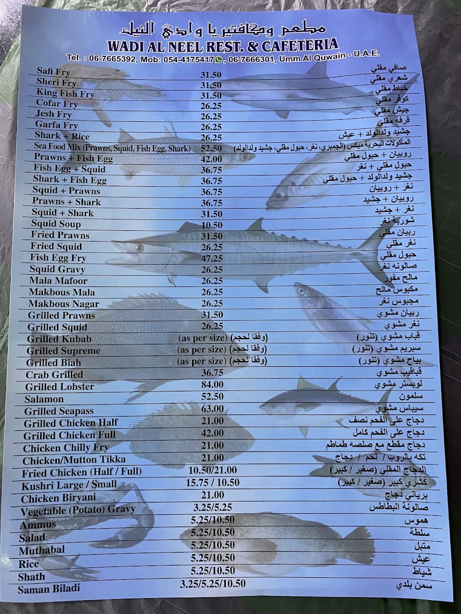 Wadi Al Neel Restaurant Photo Menu 7