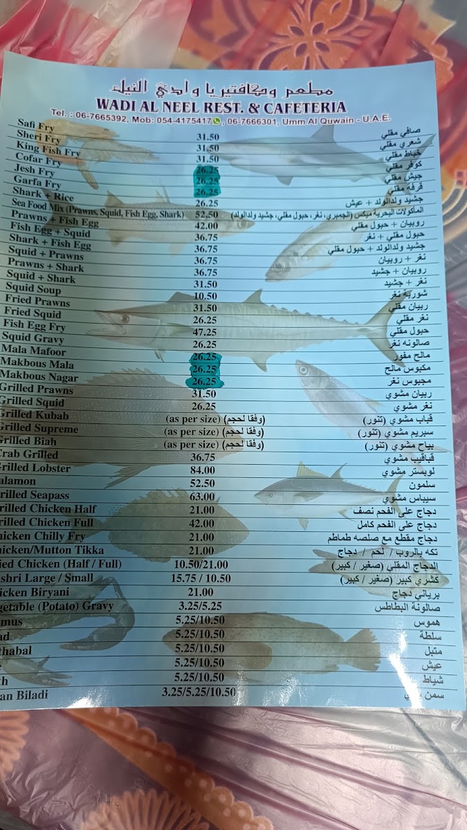 Wadi Al Neel Restaurant Photo Menu 8