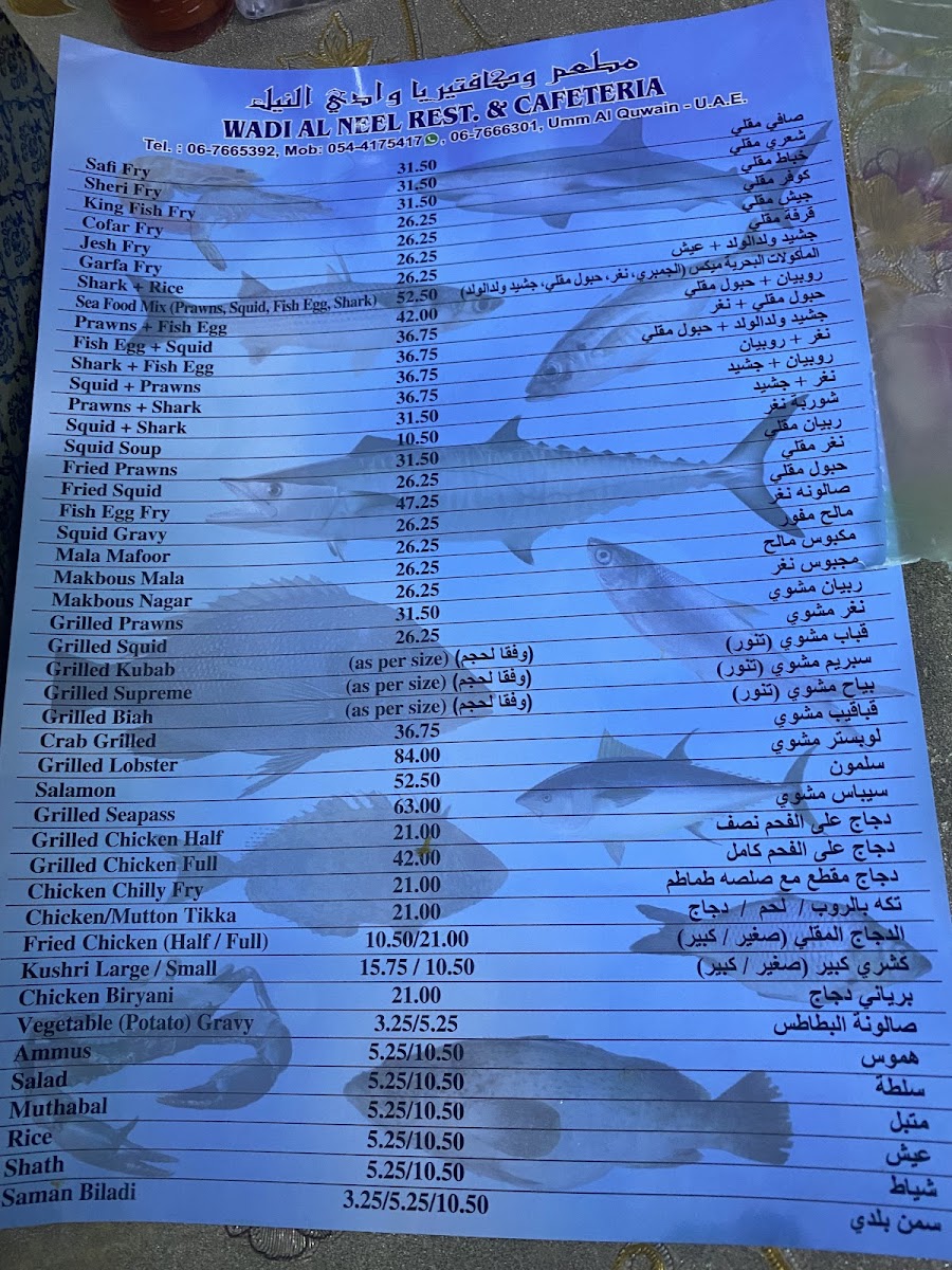 Wadi Al Neel Restaurant Photo Menu 9