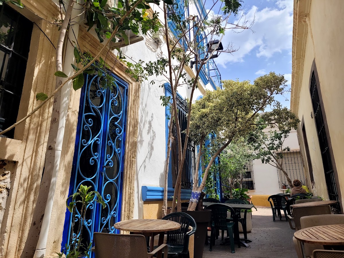 Almedina teashop
