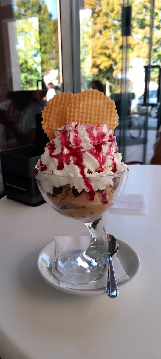 Bar gelateria artigianale Manfio Photo 8