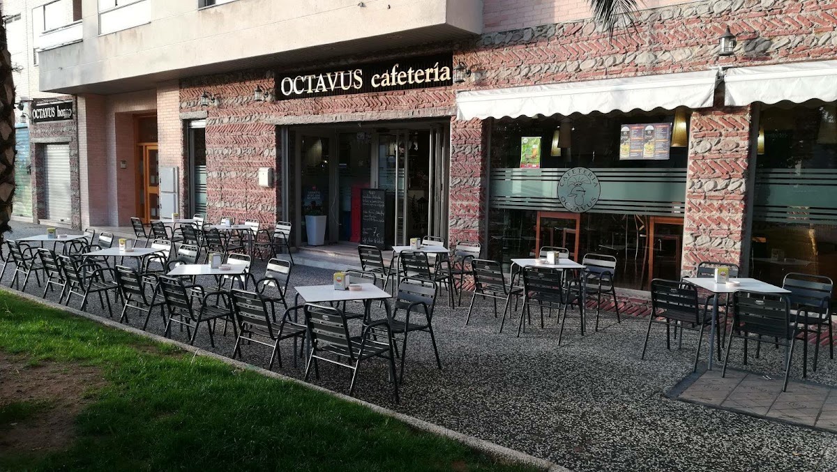 Cafetería restaurante Octavus Photo 1