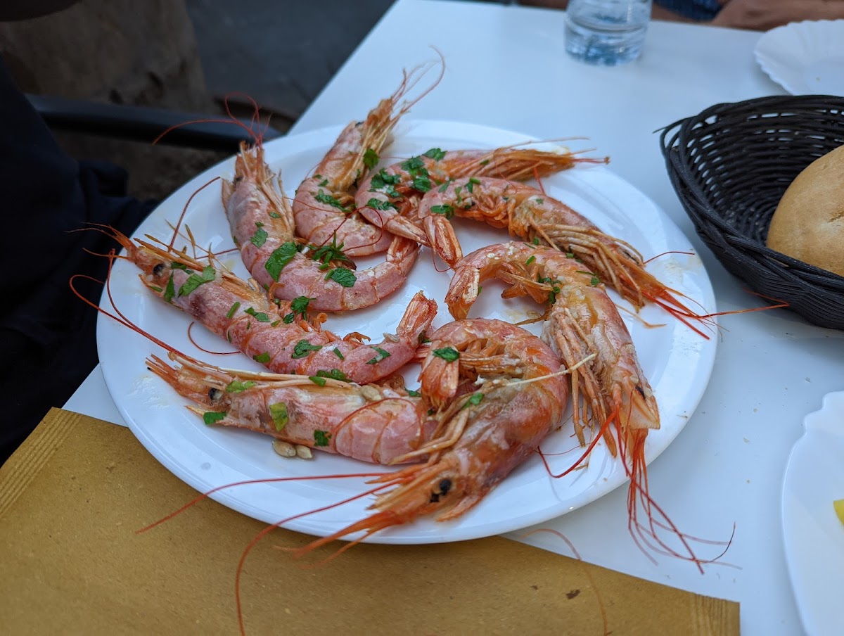 La Pescadería Street Photo 10