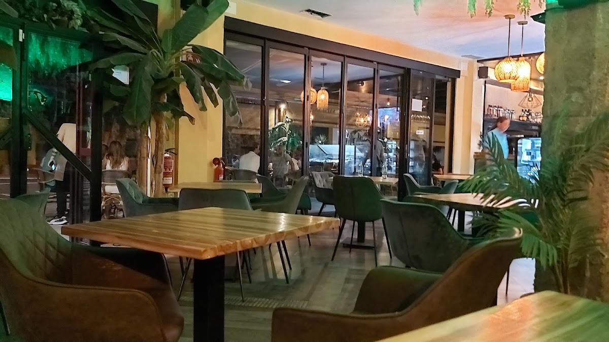 Bar Sapiens