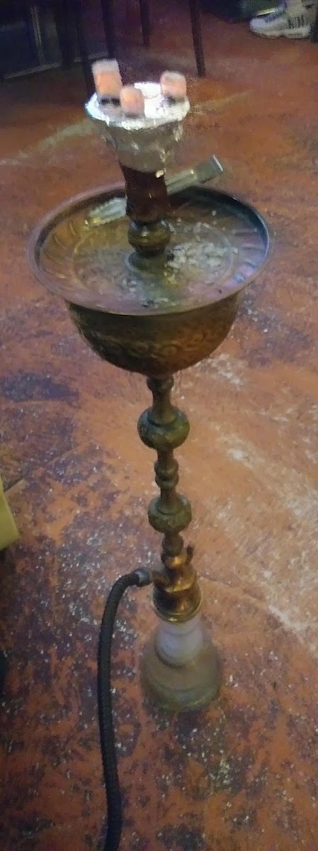 Habibi Cafe Photo 7