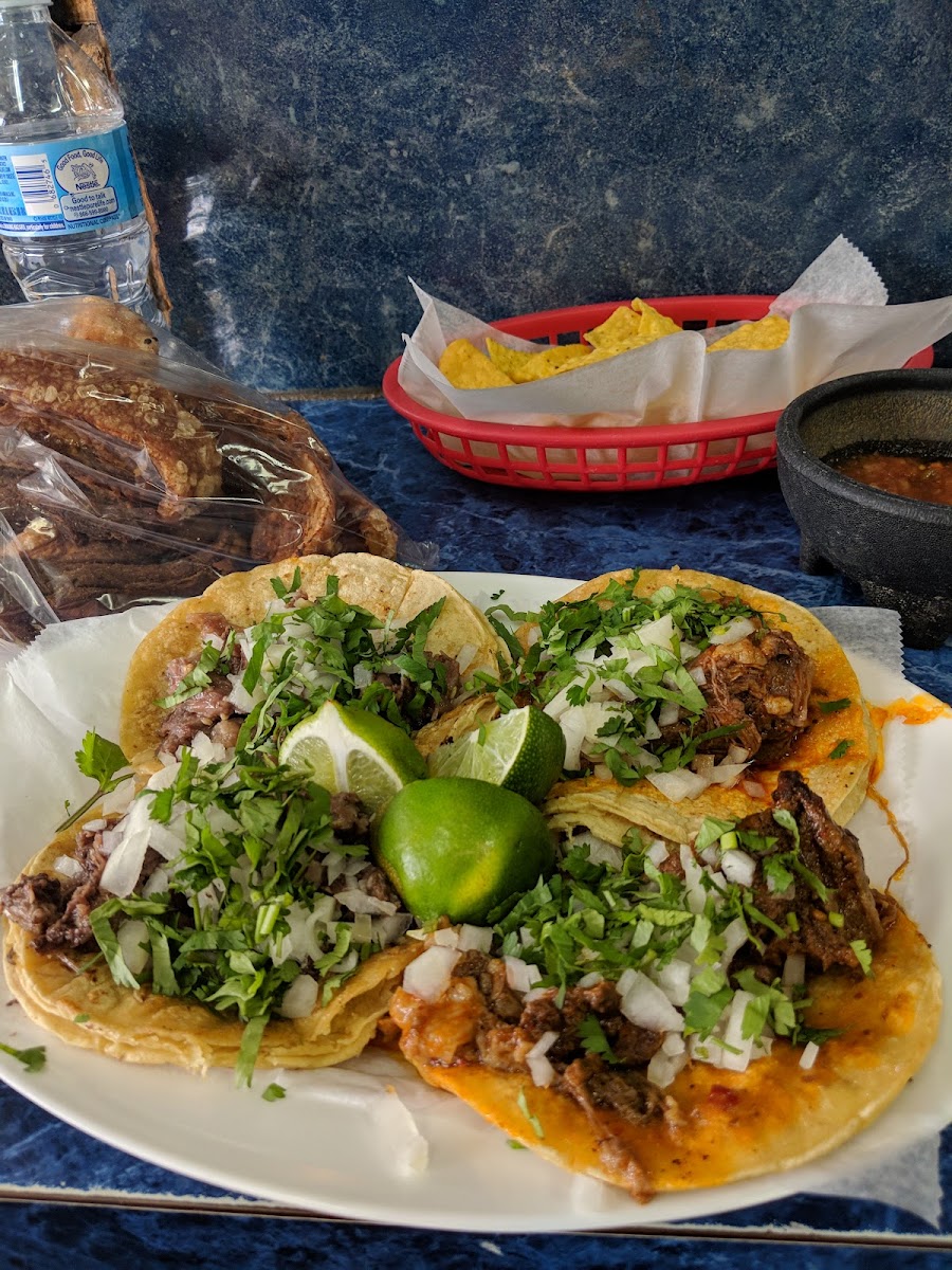 Sin Limite Taqueria Photo 5