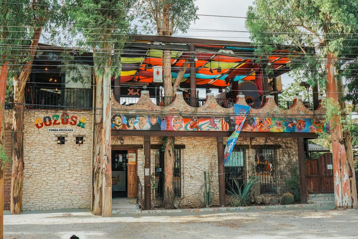 Gozosa Fonda