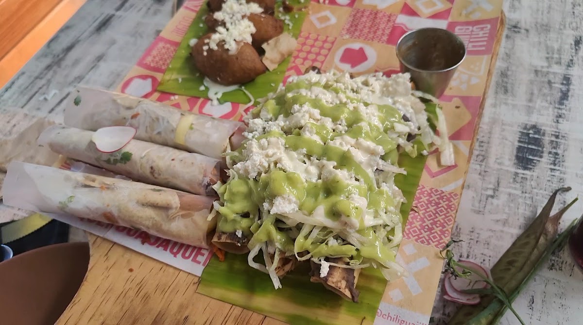 Chili Guajili Photo 2