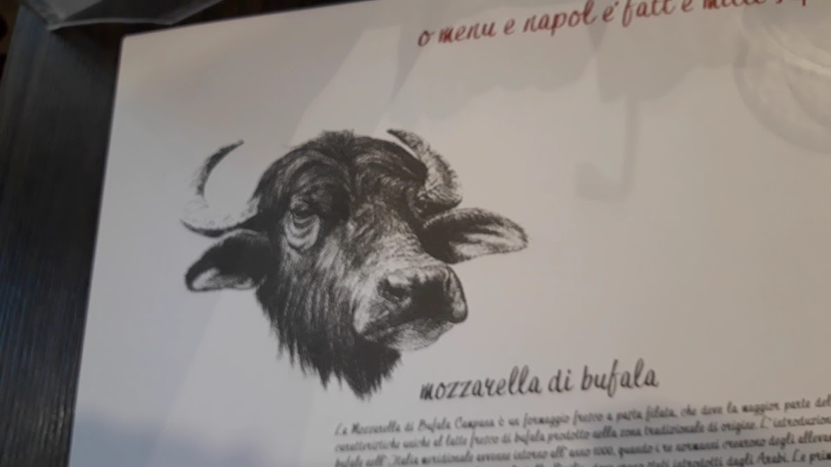 VESUVYA Photo Menu 10