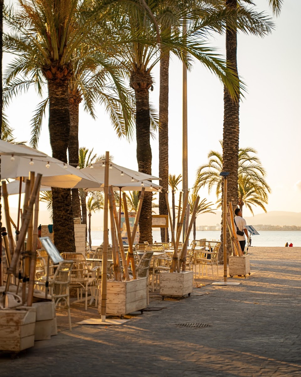 Limit Beach Photo 4
